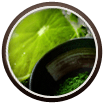 Thé matcha et citron vert